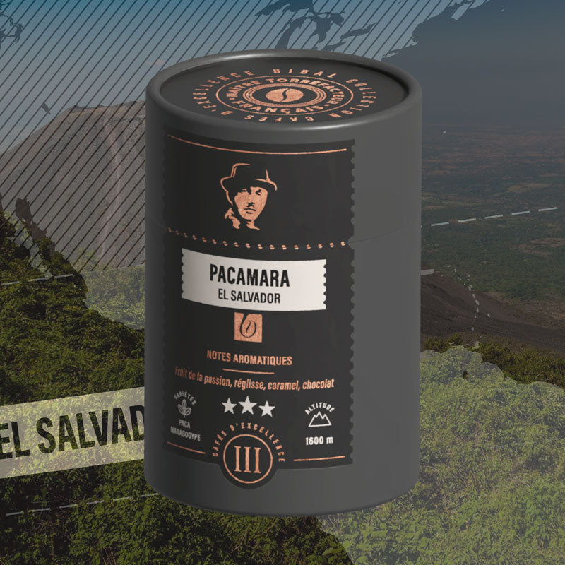 Cafe Pacamara Café en grains | Pacamara Salvador 150g – Cafés Bibal